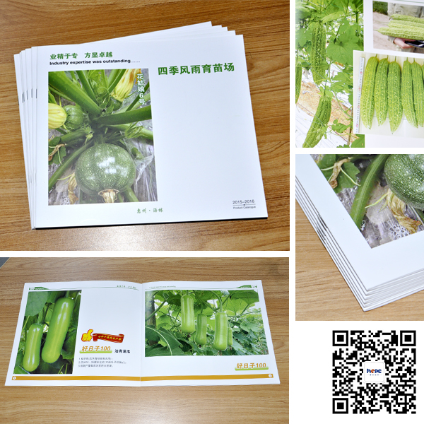 騎馬訂畫冊(cè)印刷 騎馬訂畫冊(cè)印刷